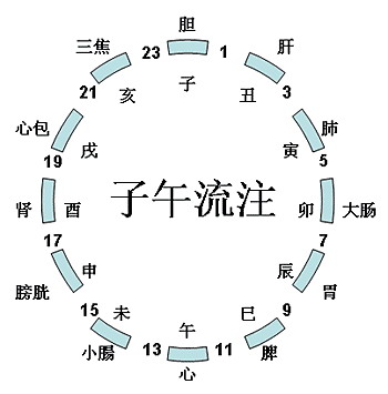 十二时辰与中医