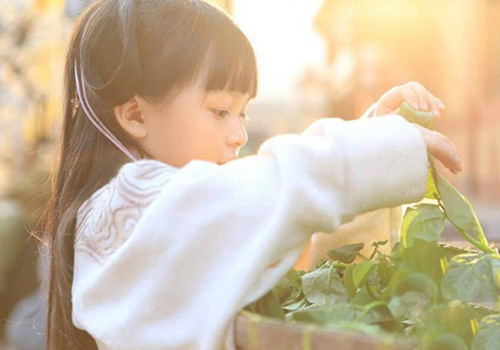 甘姓女孩取名100分