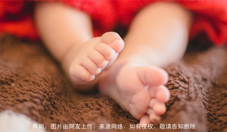 五行缺木的男孩名字宝典:起名用字参考